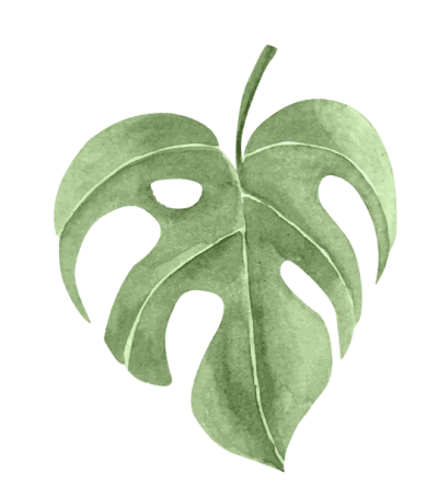 Multiply Leaf